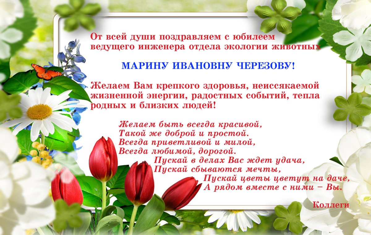 Поздравления с днем рождения Марине Ивановне