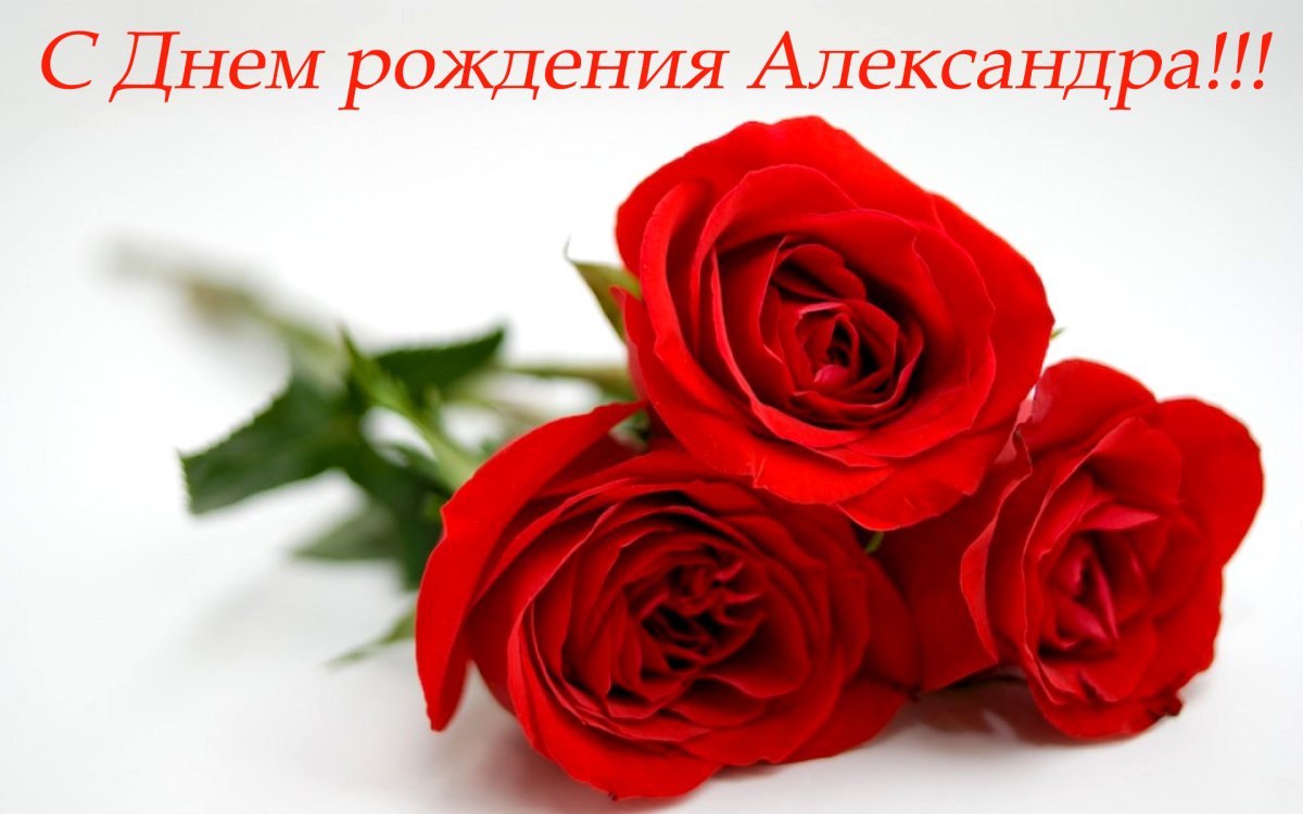 Поздравления с днем рождения Александру Васильевичу