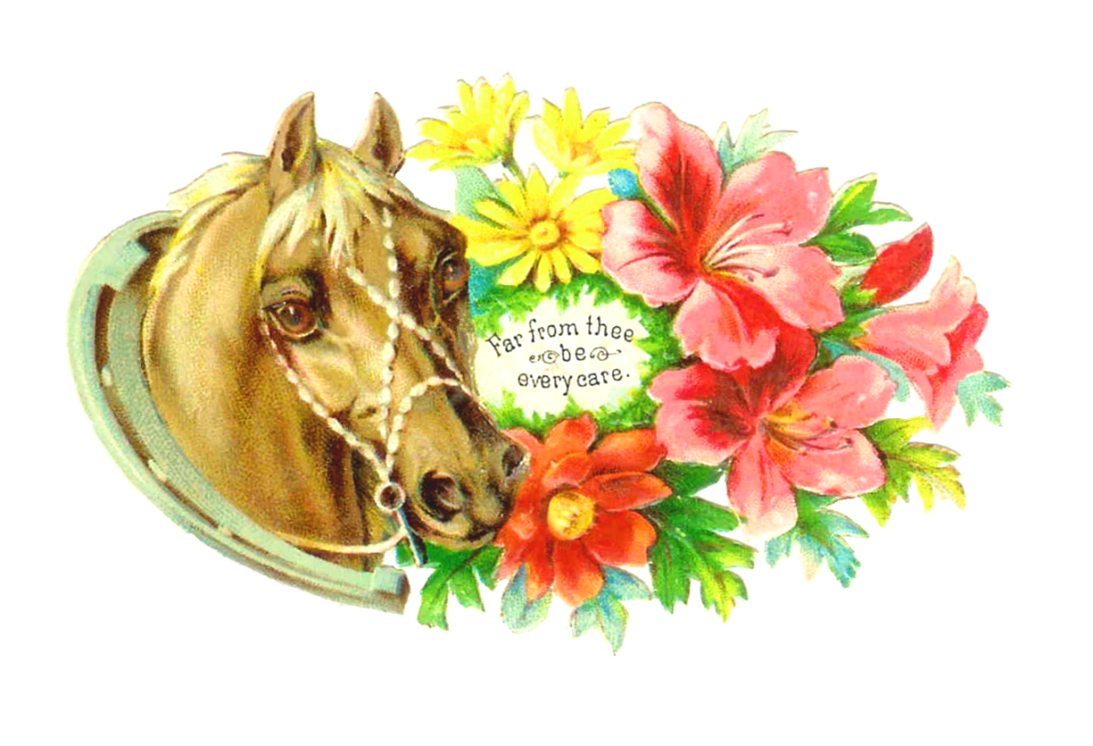 Лошадка открытки. С днём рождения с лошадью. Открытка с днем рождения с лошадкой. Открытка с днём рождения с лошадью. Открытки с лошадьми красивые.