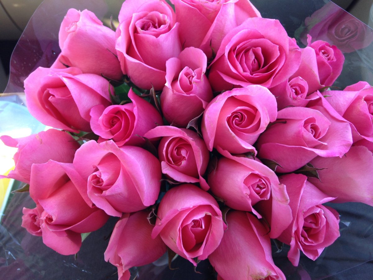Розы для любимой девушки - 71 фото