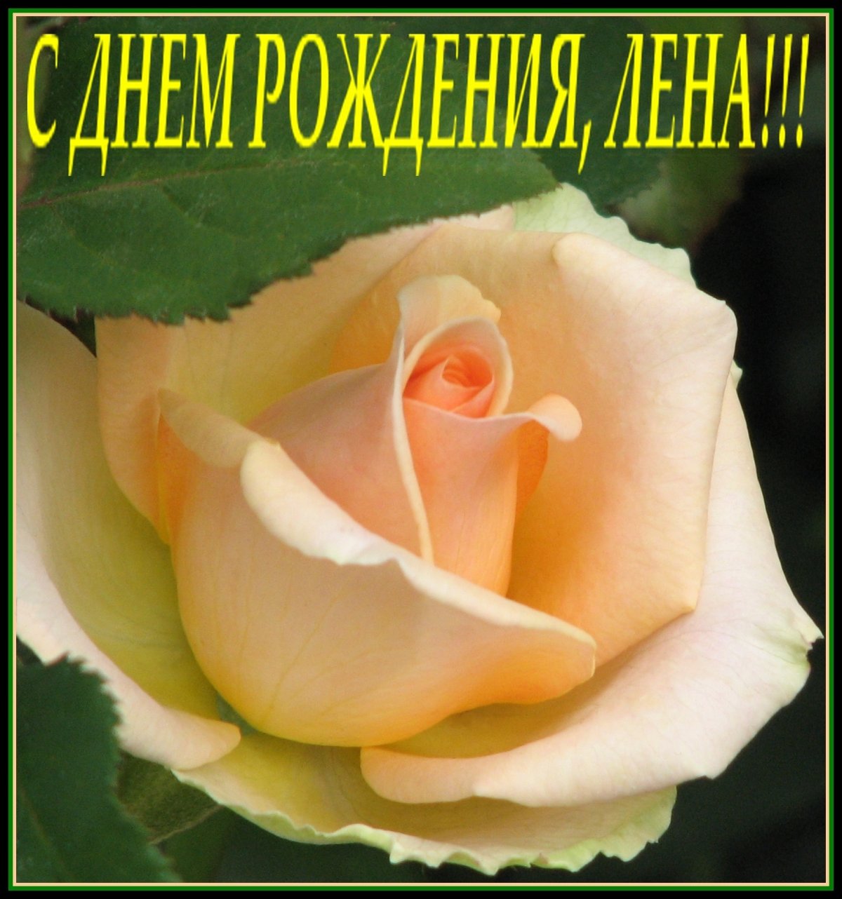 Поздравления с днем рождения Елене Васильевне