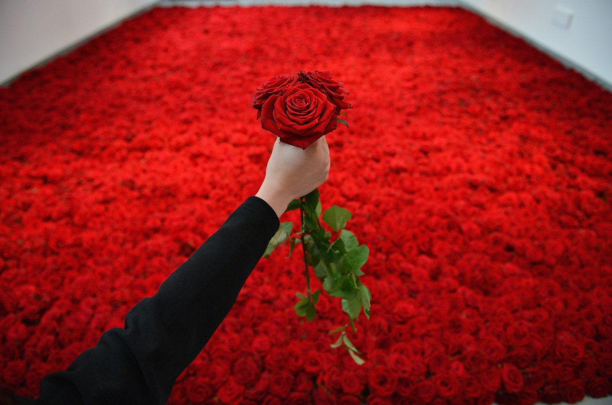 Миллион, миллион, миллион алых роз…Купить в компании FAVORIT DECOR & FLOWERS