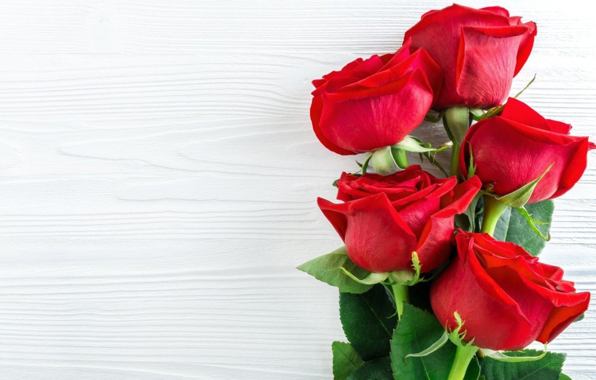 Поздравительные открытки с розами