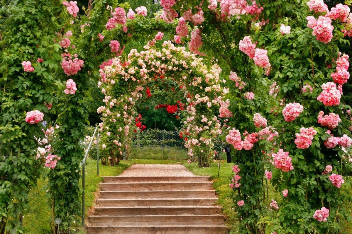 Садовые арки для роз
