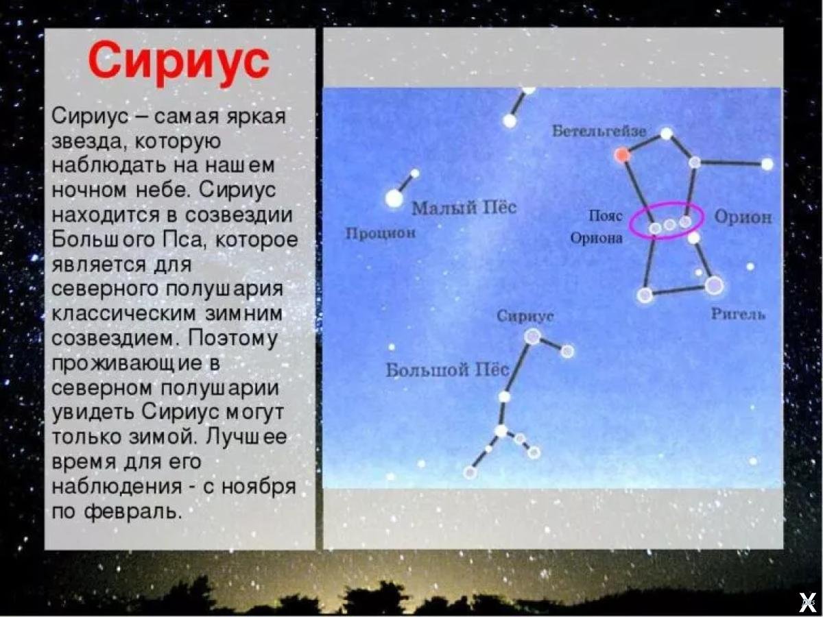 Созвездие южного полушария главная звезда факт 6. Звезда Сириус и Орион. Какому созвездию принадлежит звезда Сириус. Созвездие Орион и Сириус. Созвездие Орион атлас определитель.