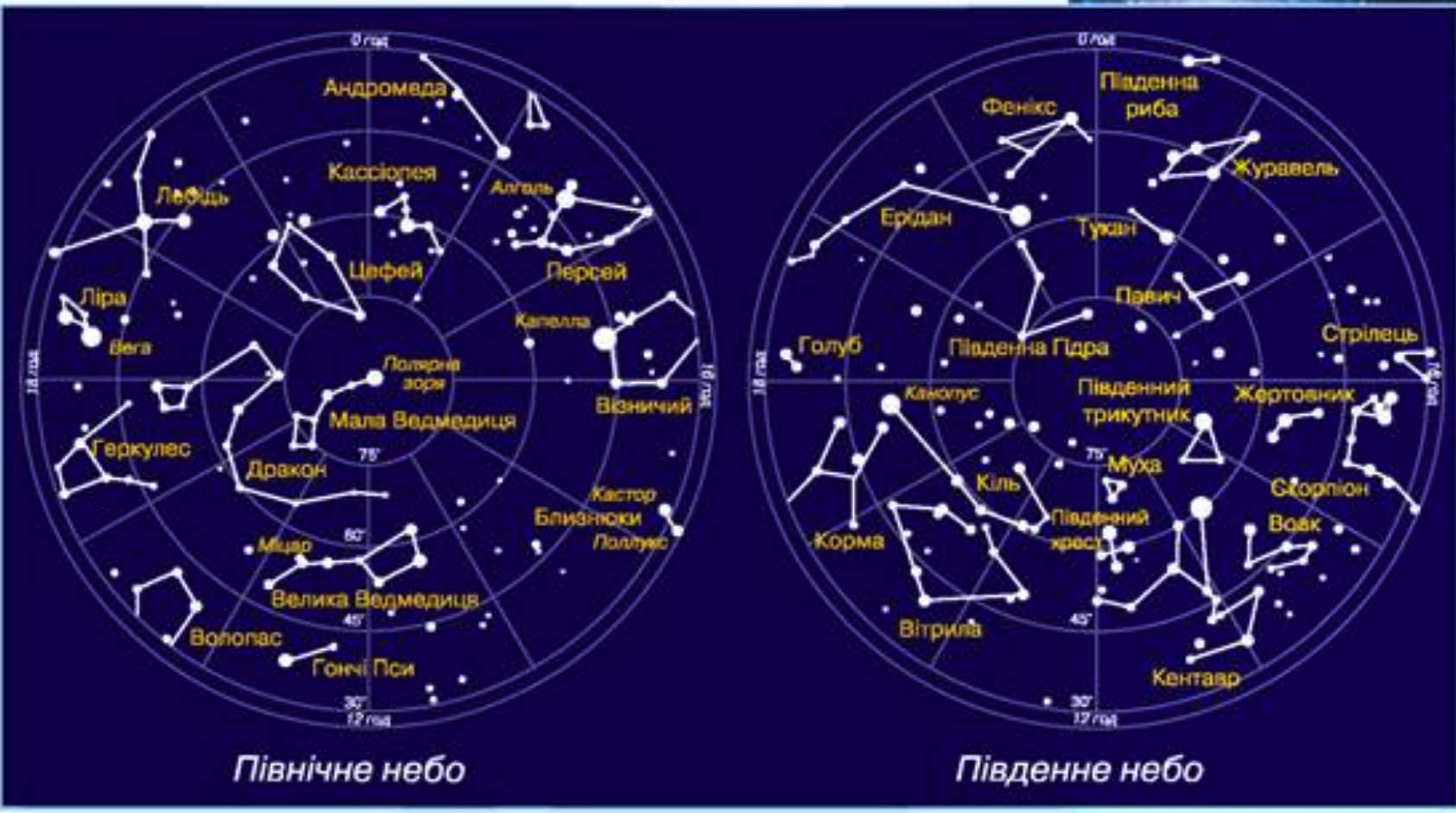Какие созвездия на северном полушарии. Южное полушарие звездного неба с названиями созвездий. Карта звездного неба Северного полушария с созвездиями. Карта звёздного неба Северное и Южное полушария. Околополярные созвездия Северного полушария.