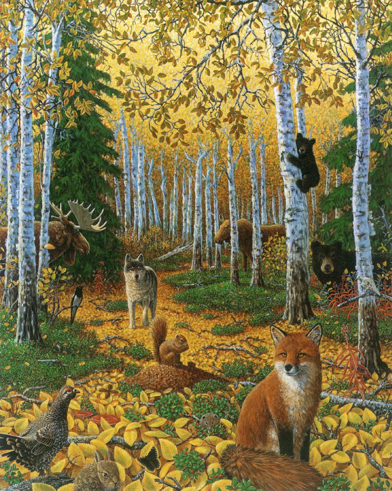 Картинка осенний лес для детей