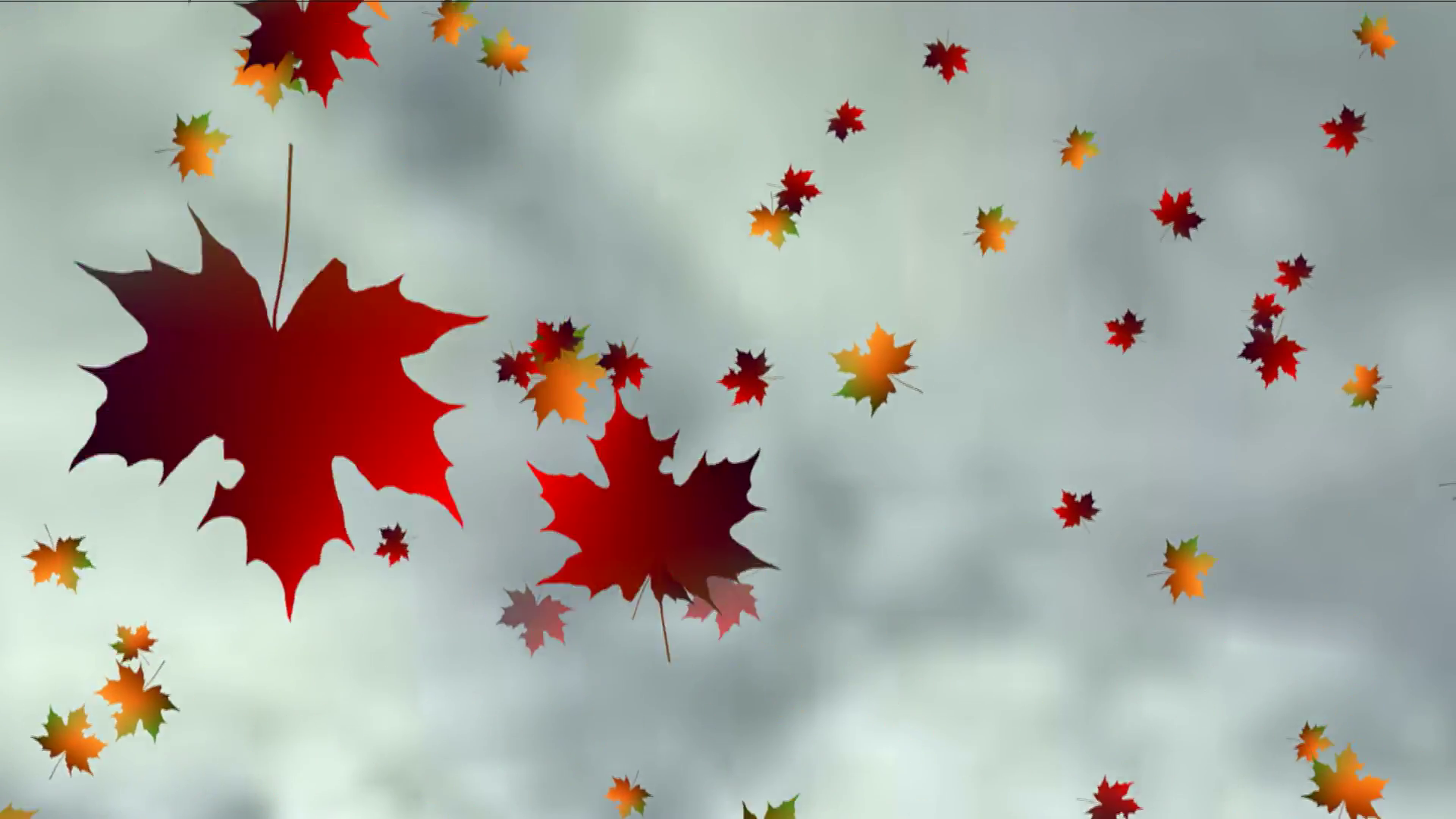 Падающие листья. Листопад для детей. Осенний листопад. Падающий кленовый лист. Падает снег и кружатся листья