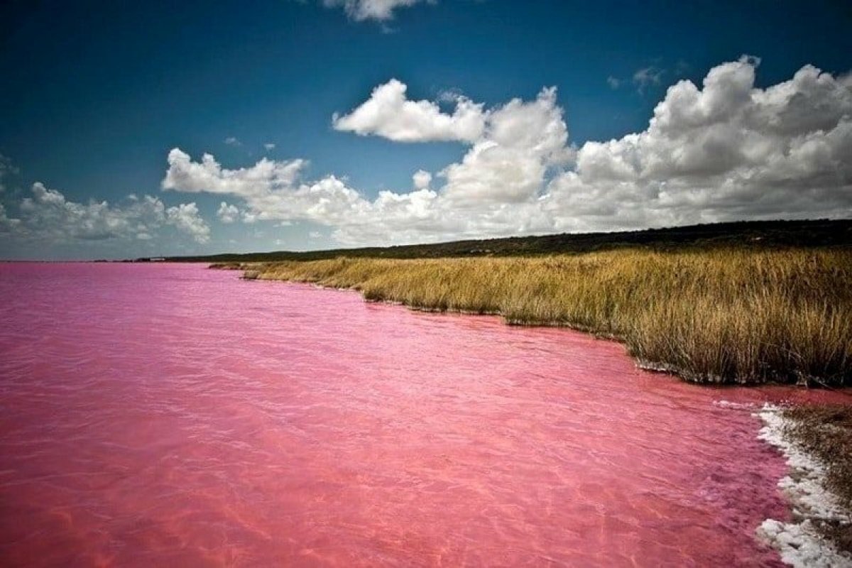 Розовое озеро алтай