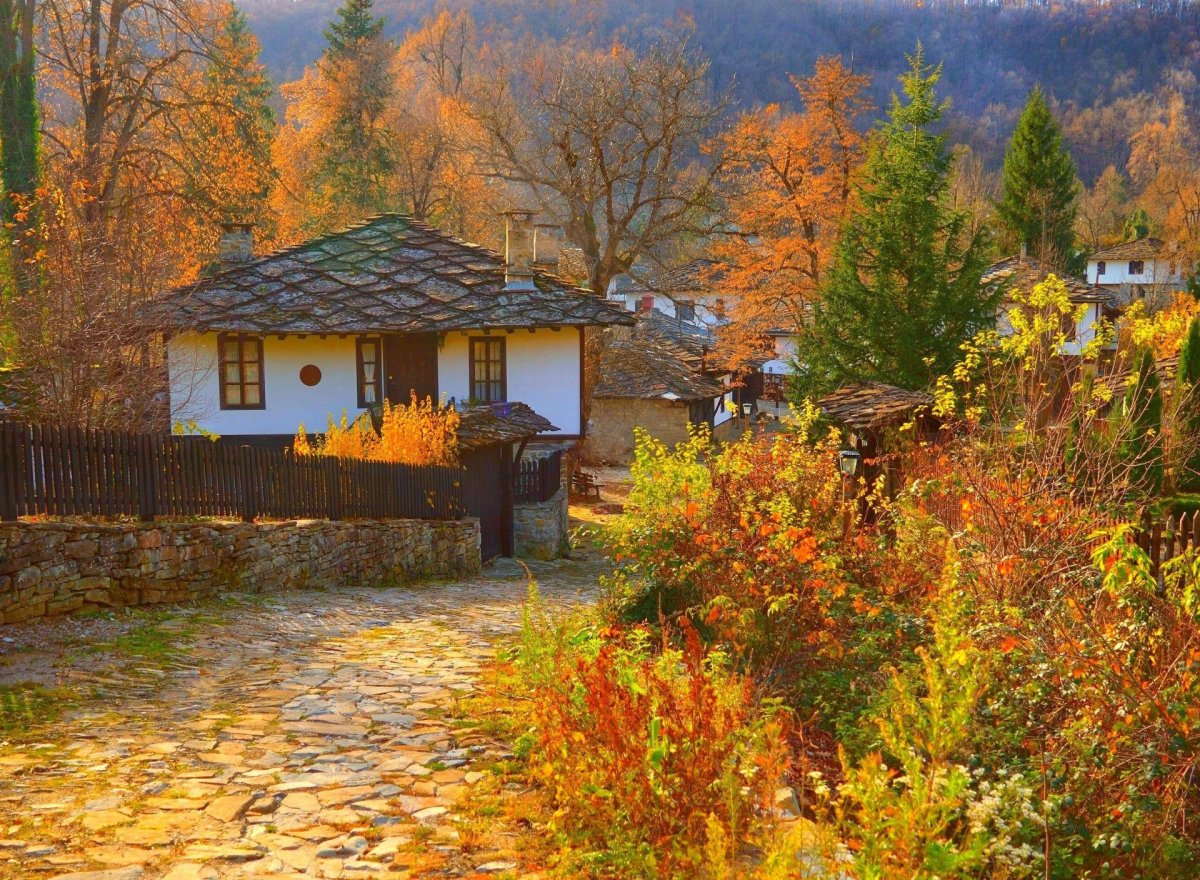 Осень в деревне картинки