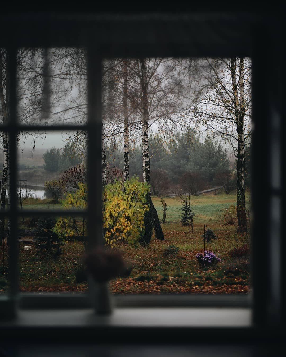 Осень за окном картинки - 70 фото