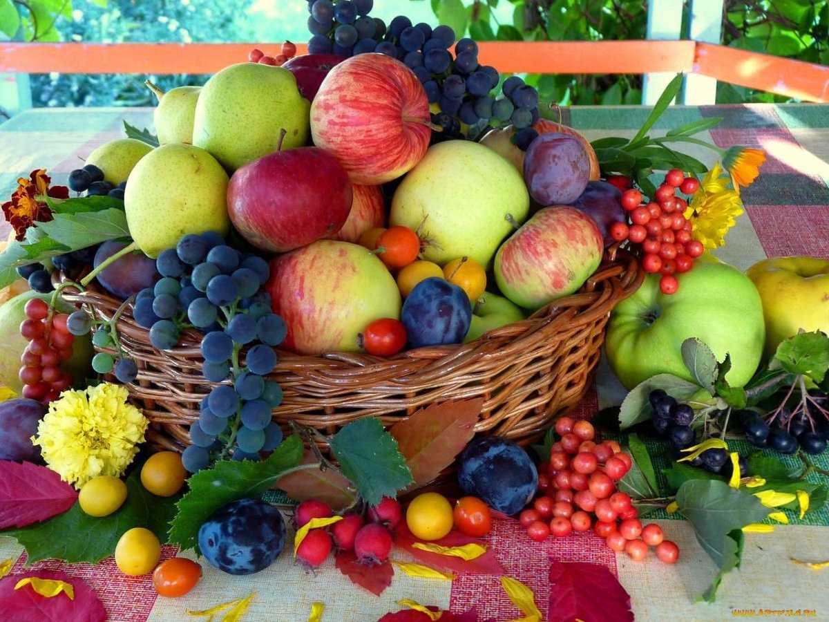 Осенние фрукты картинки