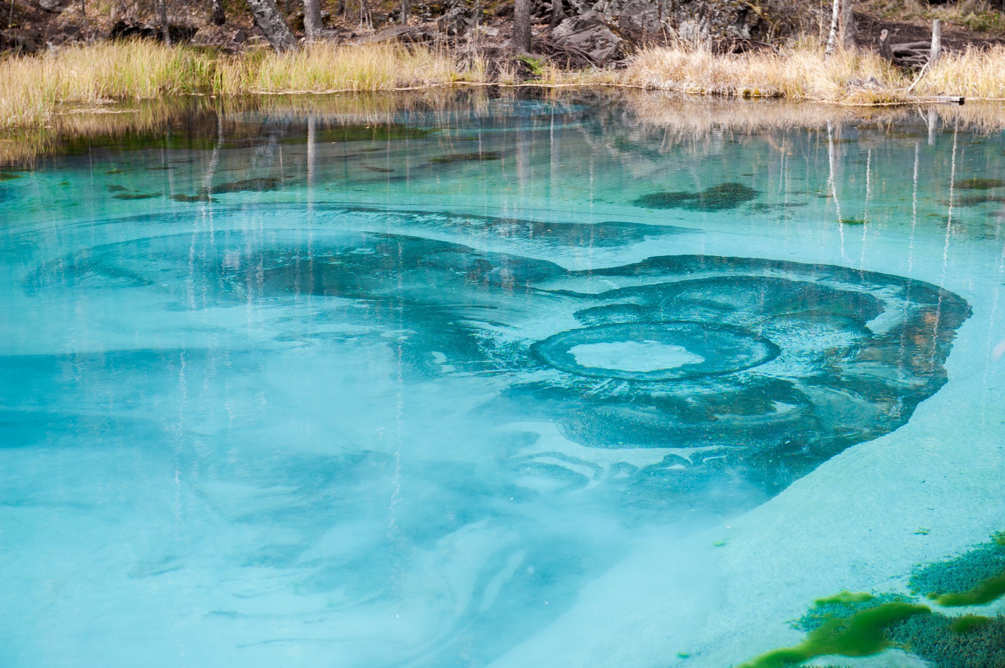 Озеро с синей водой. Гейзерное озеро Алтай. Гейзерное озеро Акташ. Голубое Гейзеровое озеро на Алтае. Гейзеровое озеро горный Алтай Акташ.