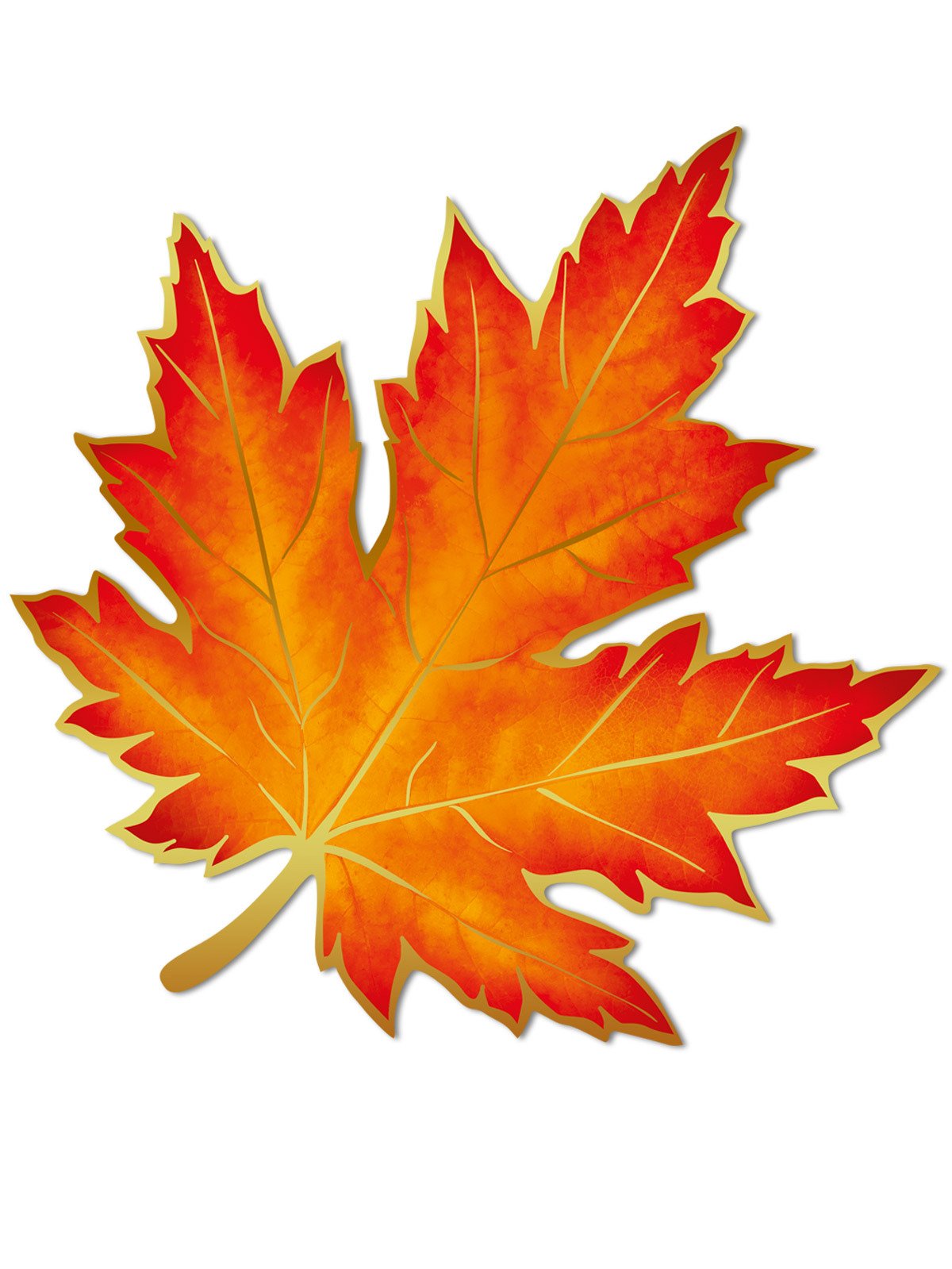Осенние кленовые листья картинки - 64 фото