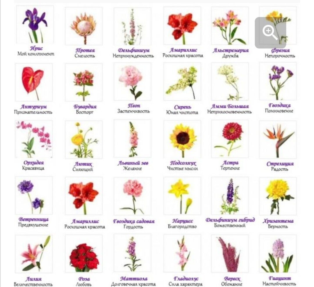 Срезанные цветы список