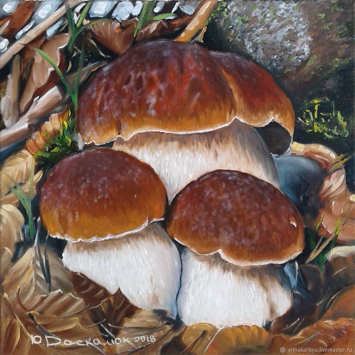 Осенние грибы картинки