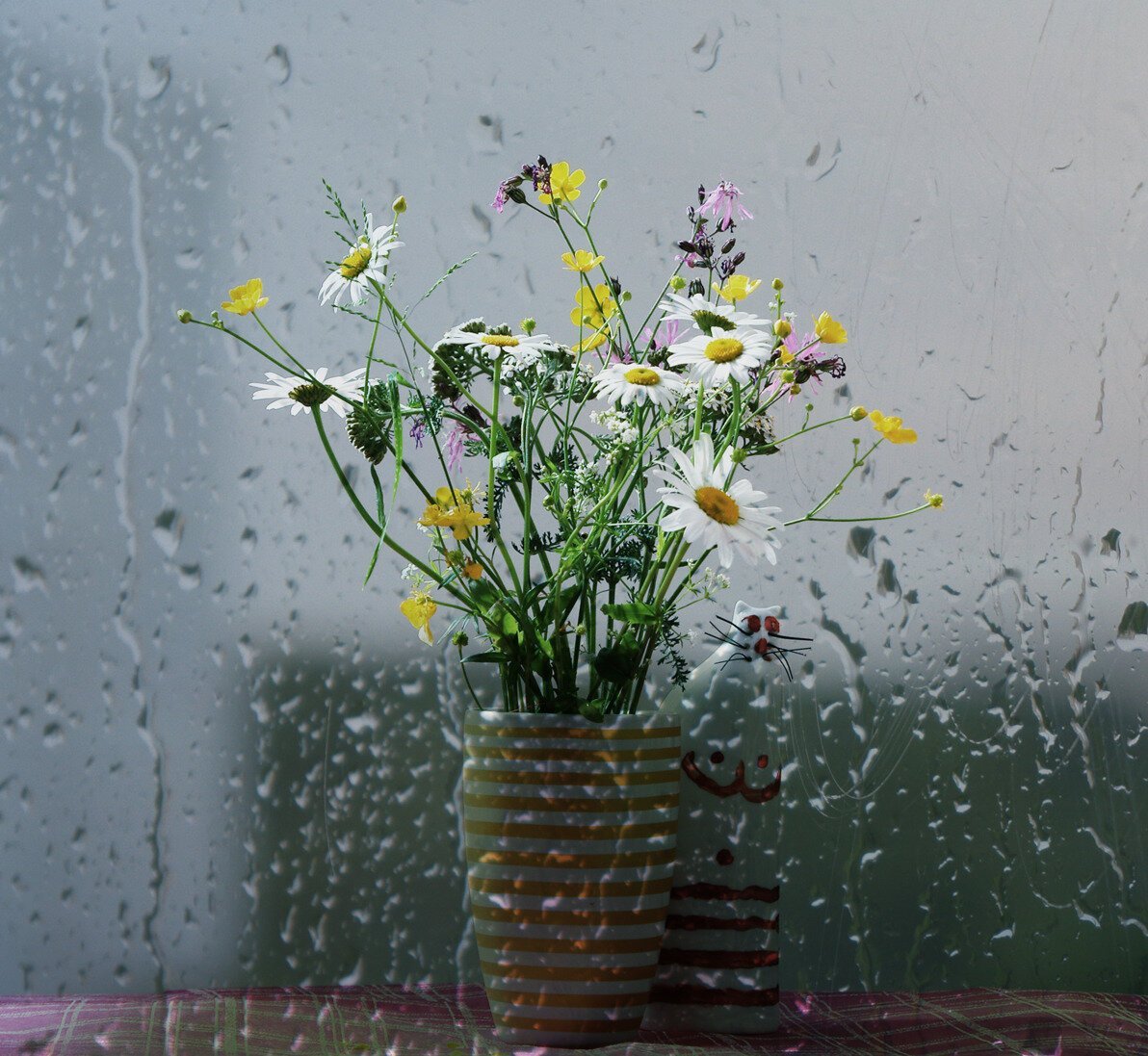 Дождь и цветы