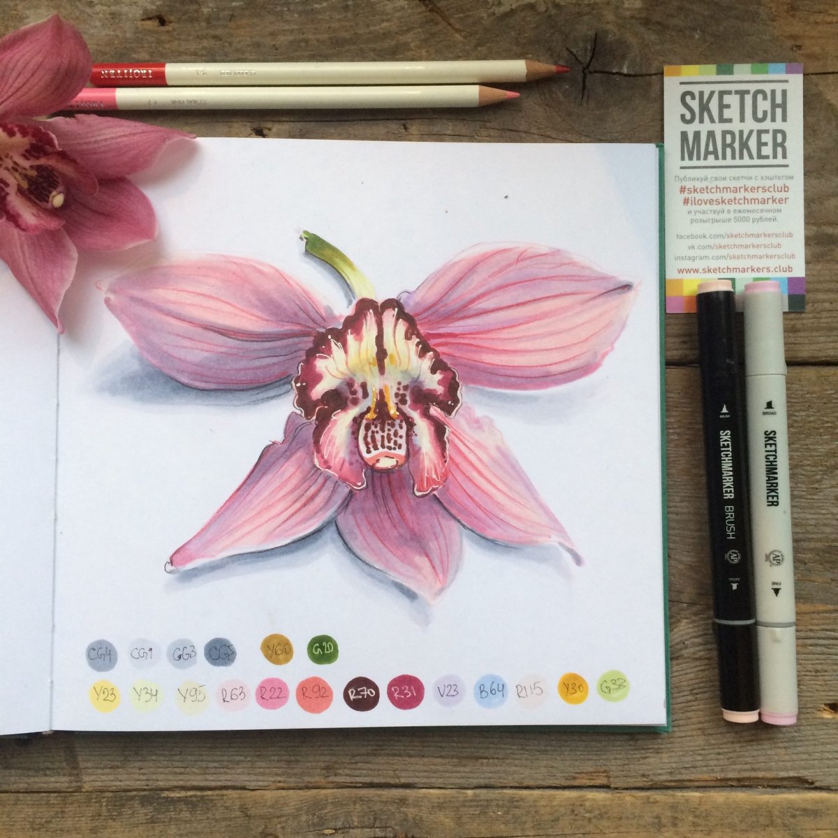 Ботаническая иллюстрация маркерами Ирина Шельменко