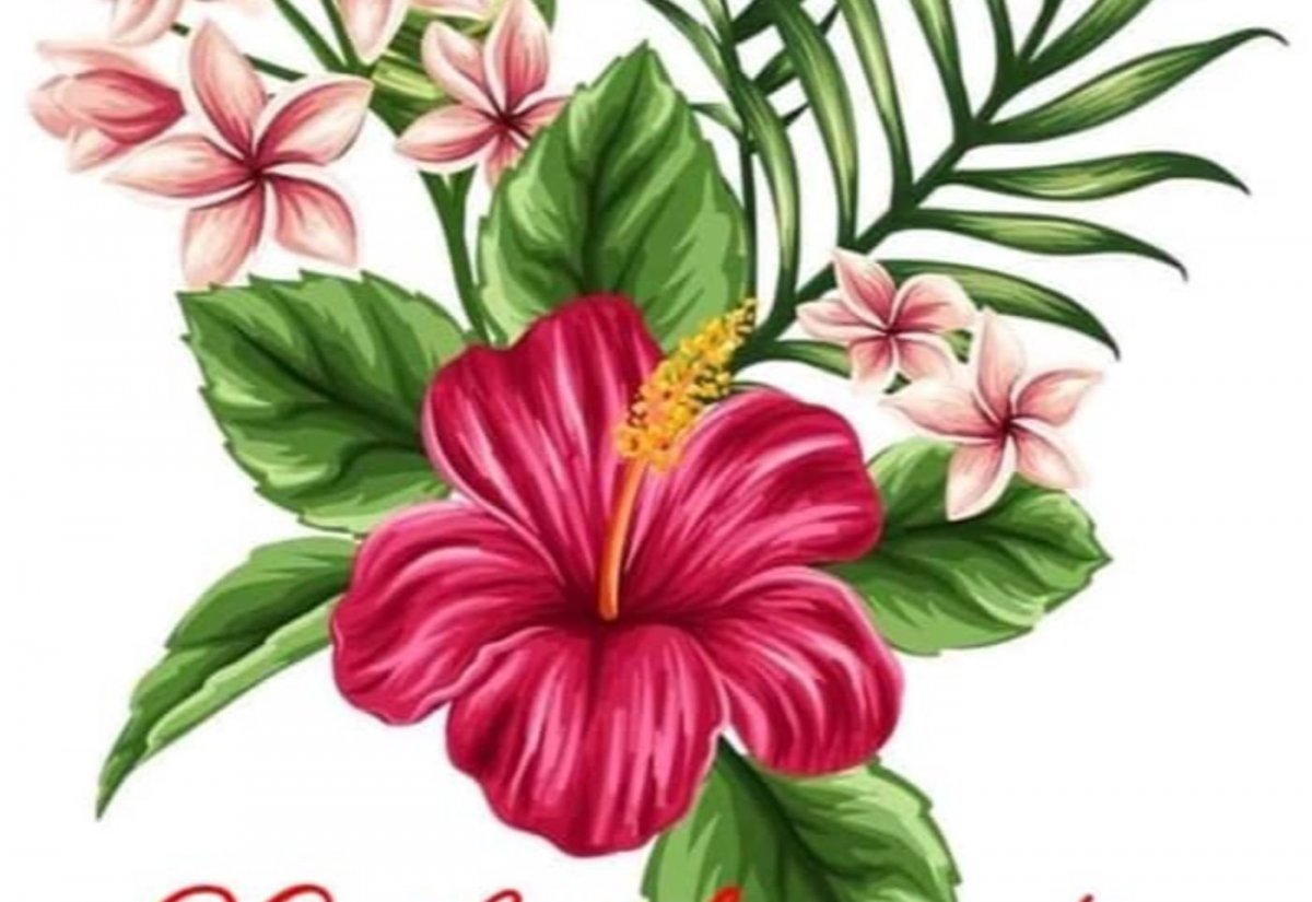 Тропические цветы рисунок