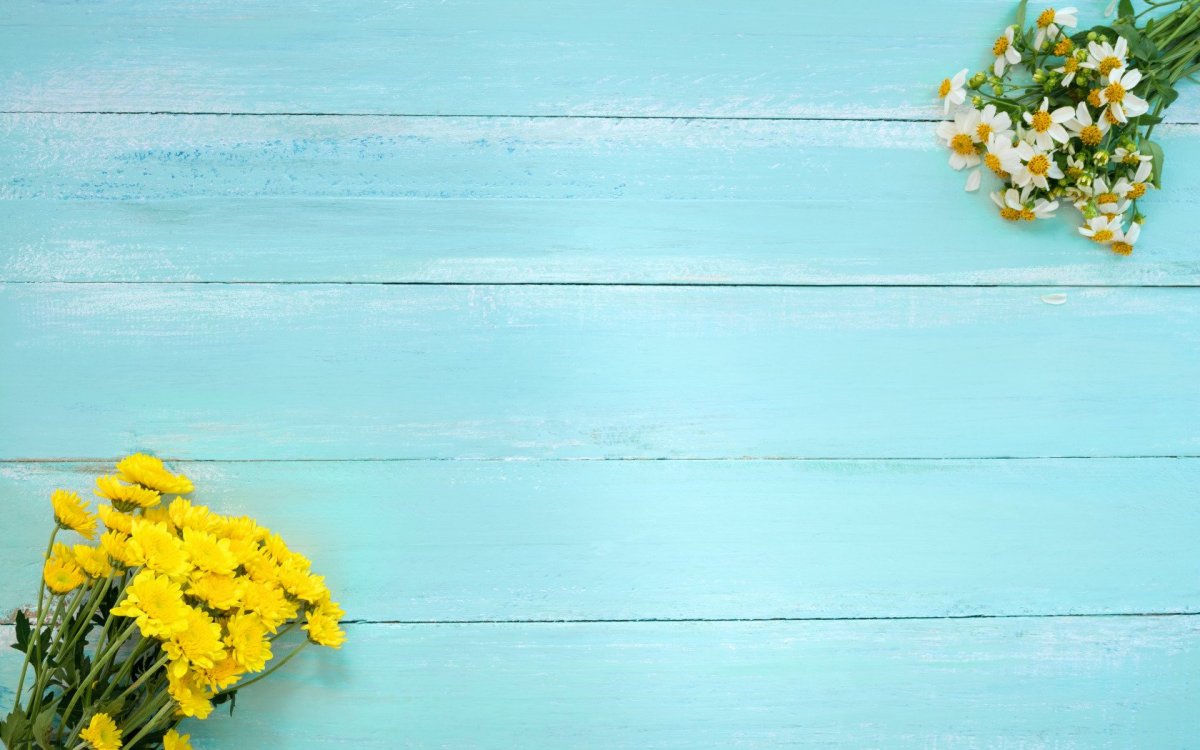Желтые и голубые цветы