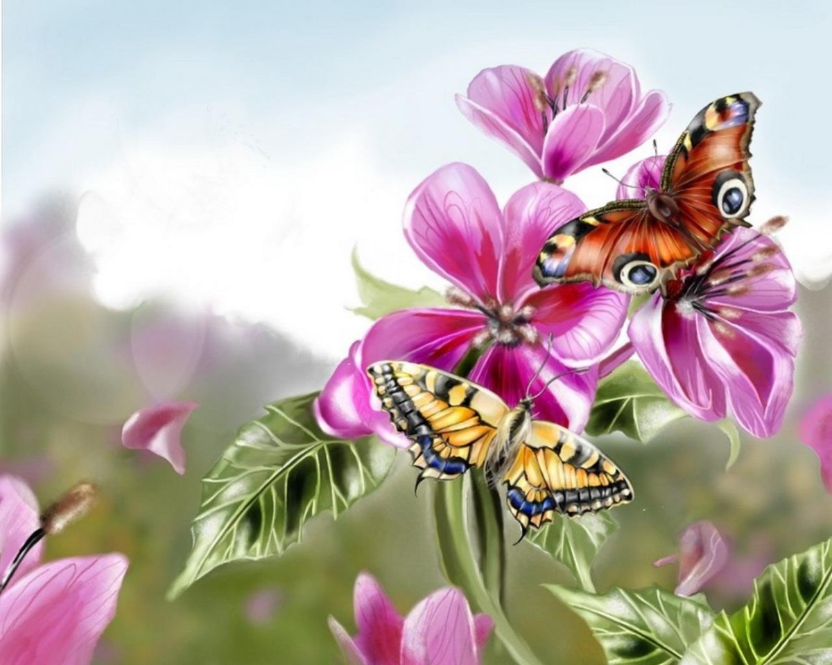 Аватары и картинки с бабочками