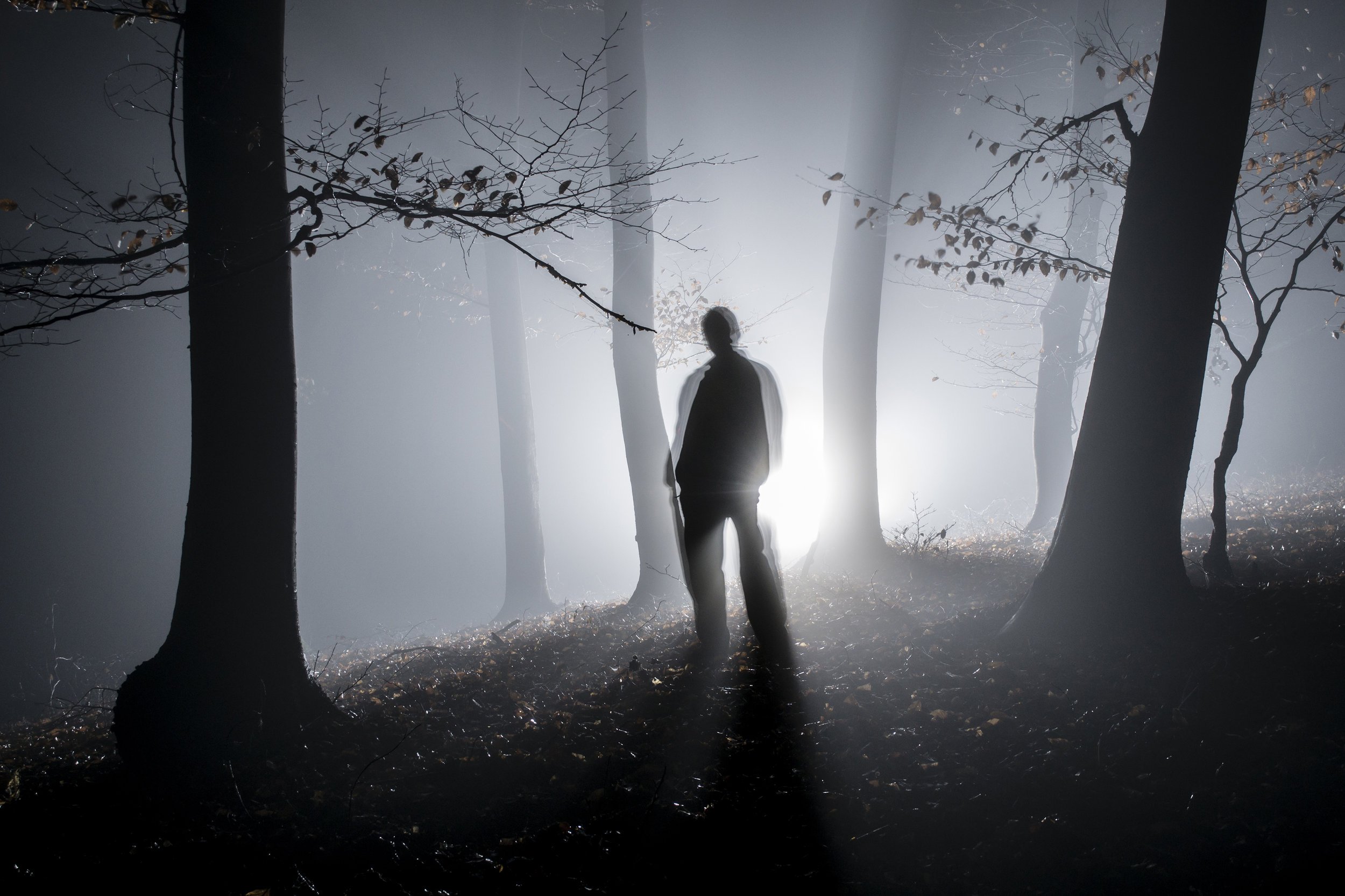 Ложились тени. В тени человека. Человек в тумане. Человек в туманном лесу. Парень в тени.