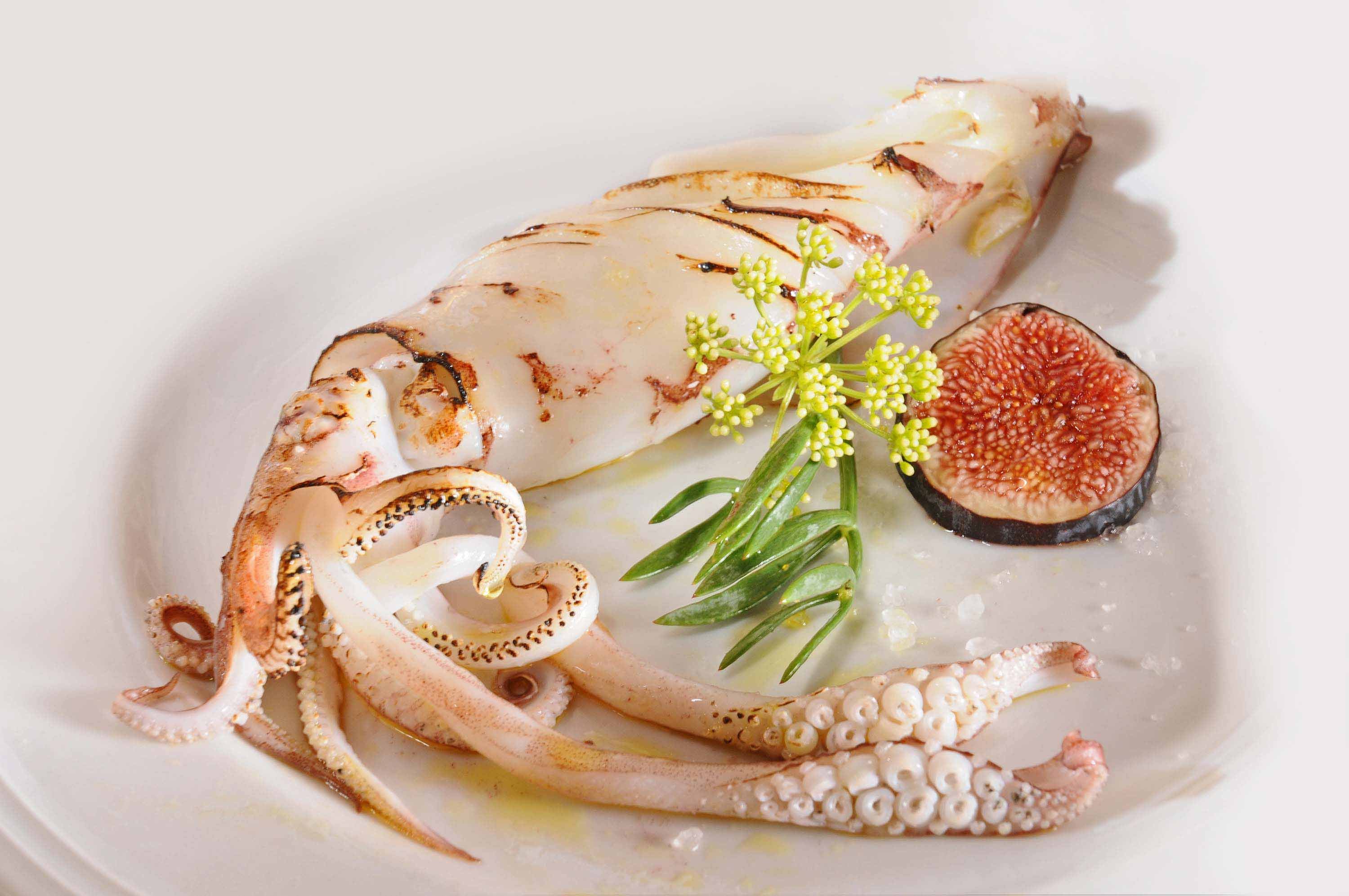 Фото кальмара приготовленного. Головоногие моллюски кальмар. Головоногие моллюски морепродукты. Кальмар Дальневосточный. Кальмар обыкновенный.