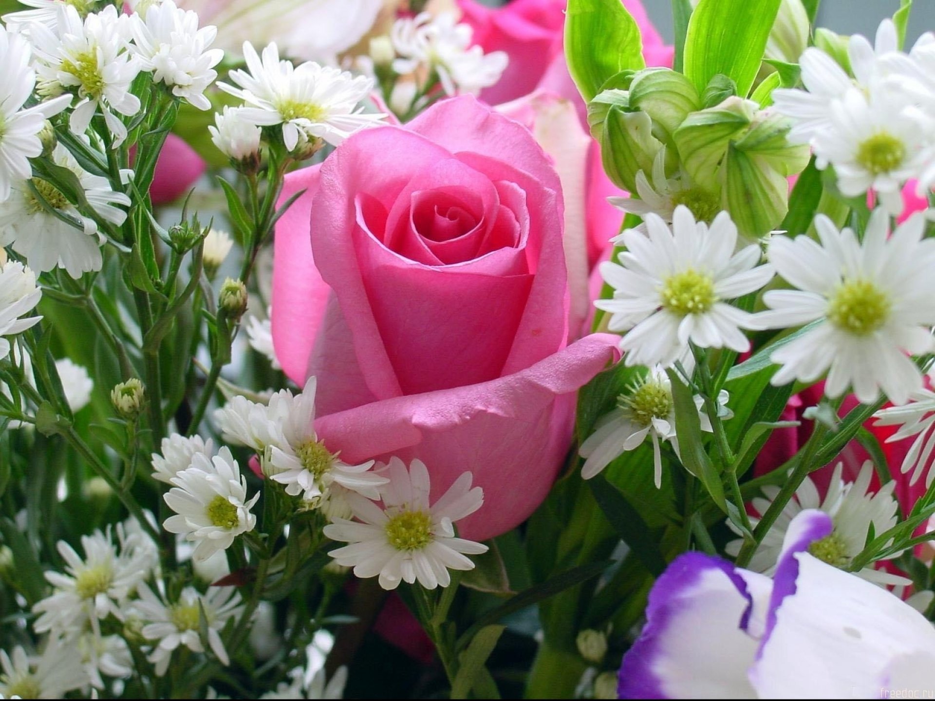 Открытки с цветами без надписей | Открытки, Цветы, Букет из розовых роз