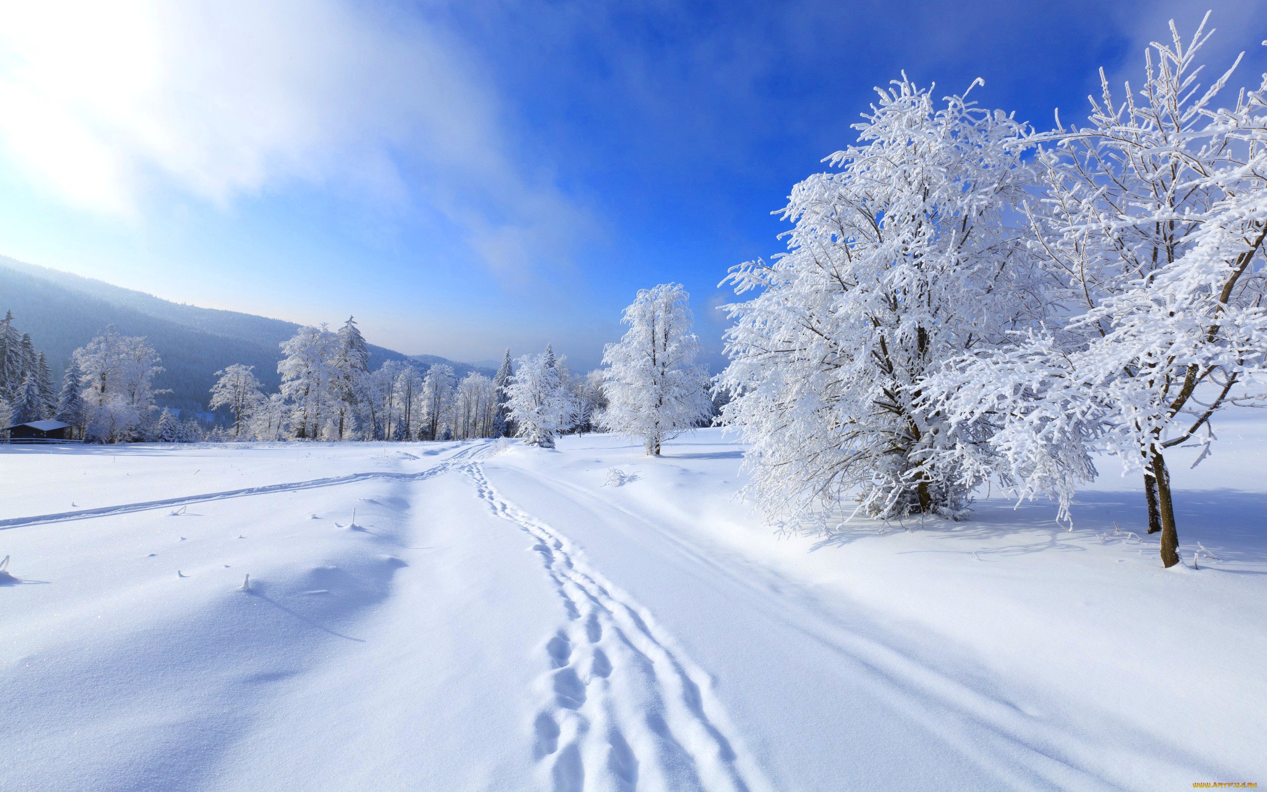 природа зимой картинки красивые