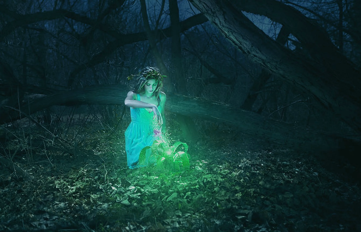 Заколдованные картинки. Ведьмин лес Франция. Девушка в волшебном лесу. Лесная ведьма. Волшебство в лесу.