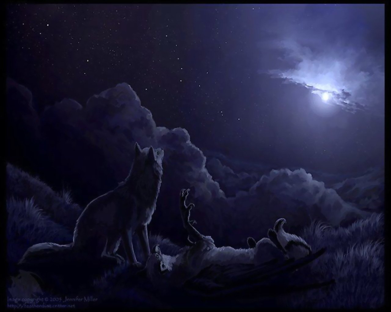 Ночь волков читать. Волк в ночи. Волк и звезды. Волк и Луна. Волчица ночью.