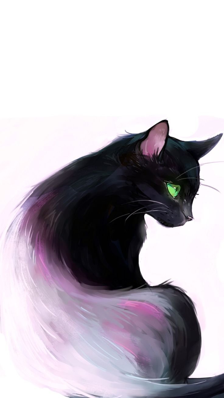 Чёрно белый кот арт