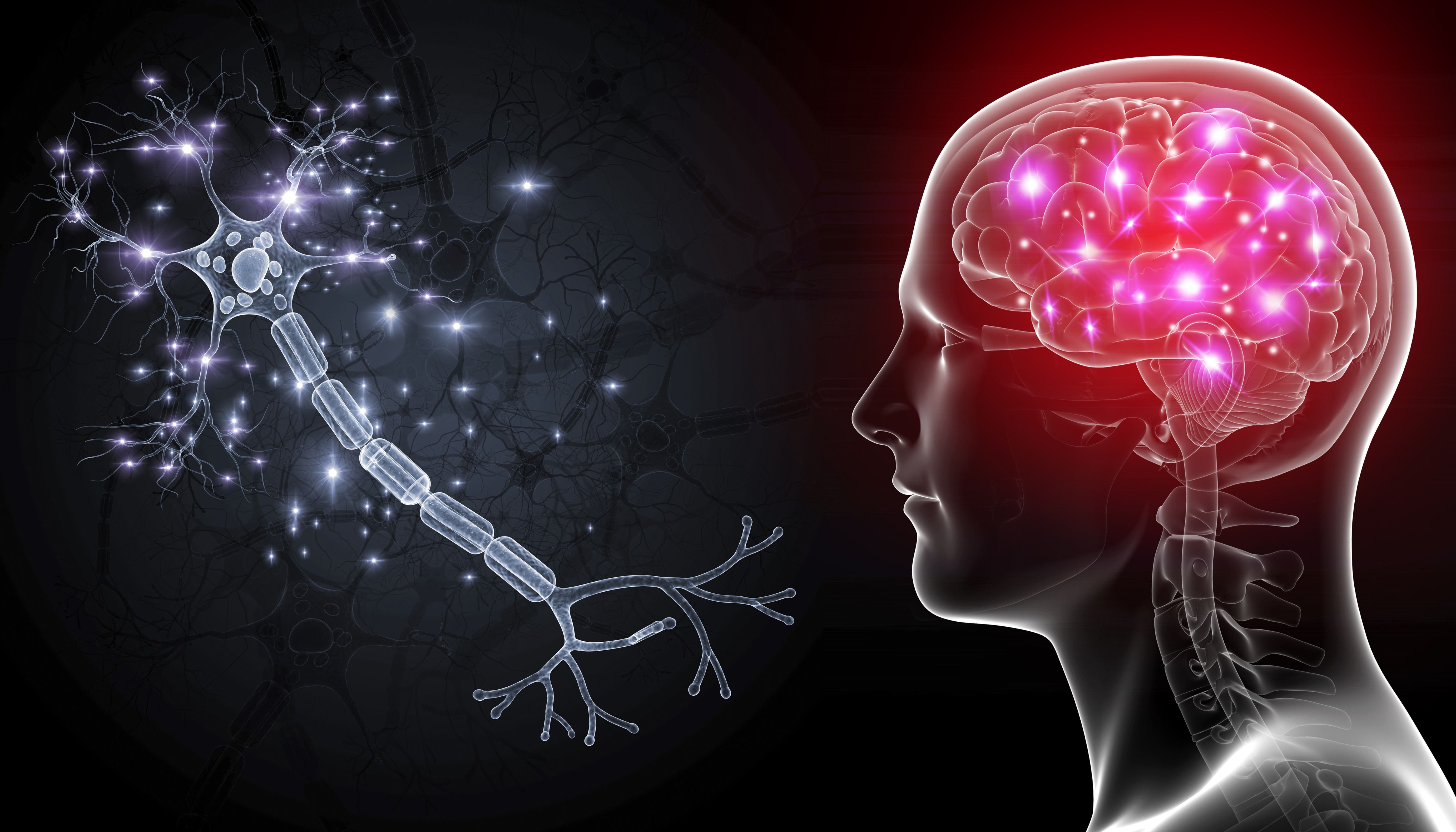 Мозг и память после 40. Неврология мозг. Заболевания нервной системы. Нейроны мозга.