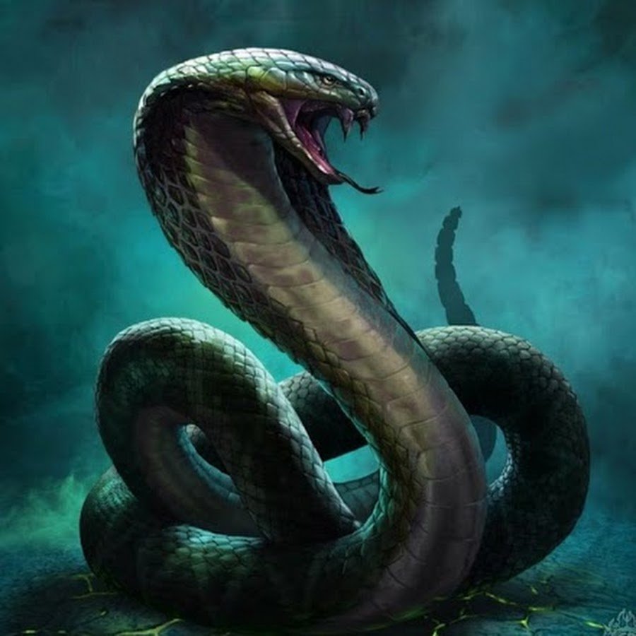 Змея арт