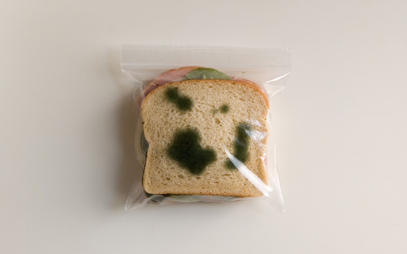 Пакет с плесенью для бутербродов. Плесень на хлебе в пакете. Пакетики с плесенью для бутербродов. Плесень на кусочке хлеба. Плесень питание