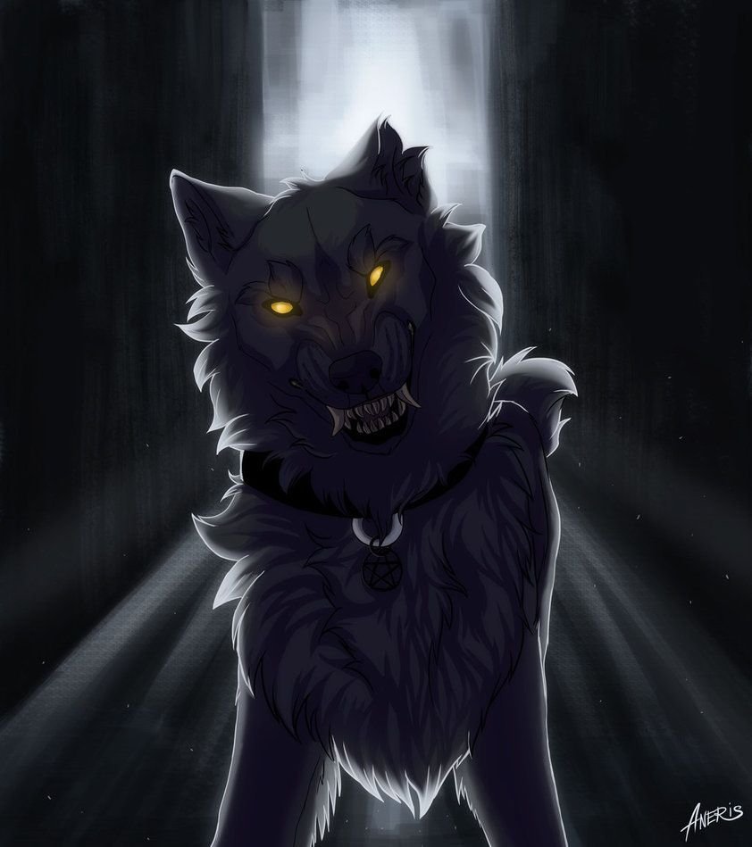 Чёрный волк аниме - 61 фото