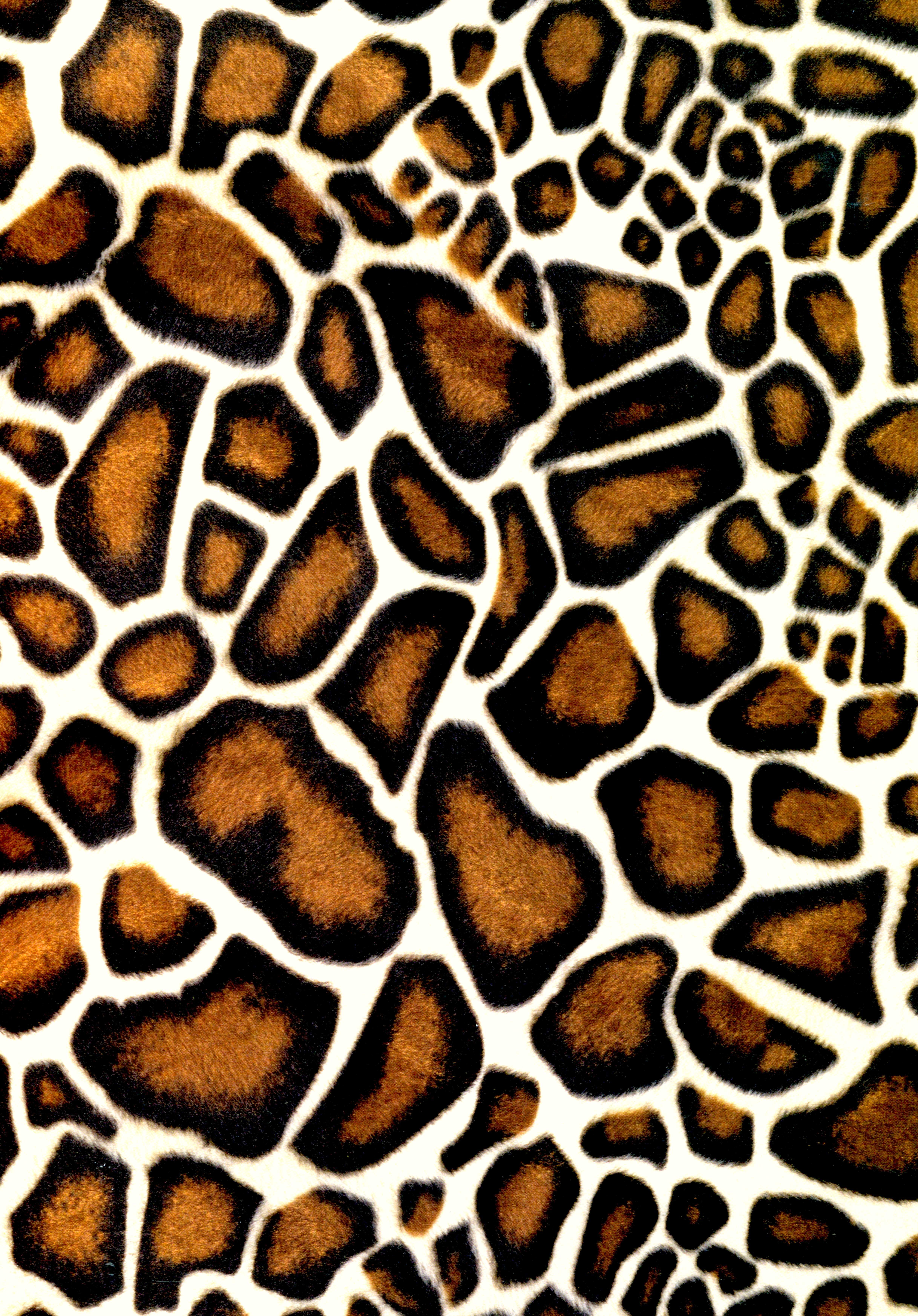 Animal pattern. Леопард паттерн. Леопардовый фон. Леопардовая текстура. Пятна жирафа.