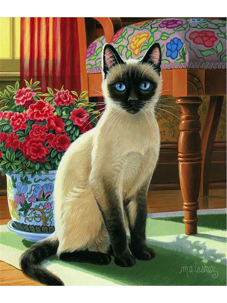 Сиамский кот арт - 35 фото