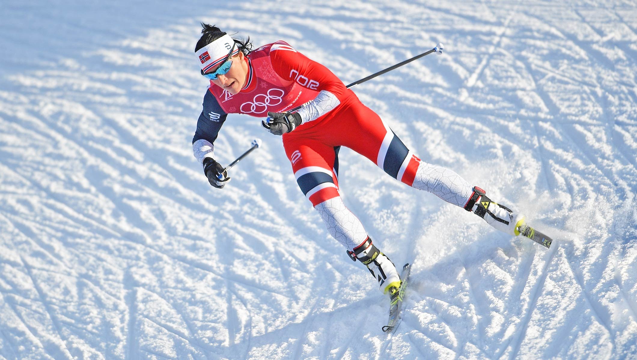 Виды спорта на лыжах