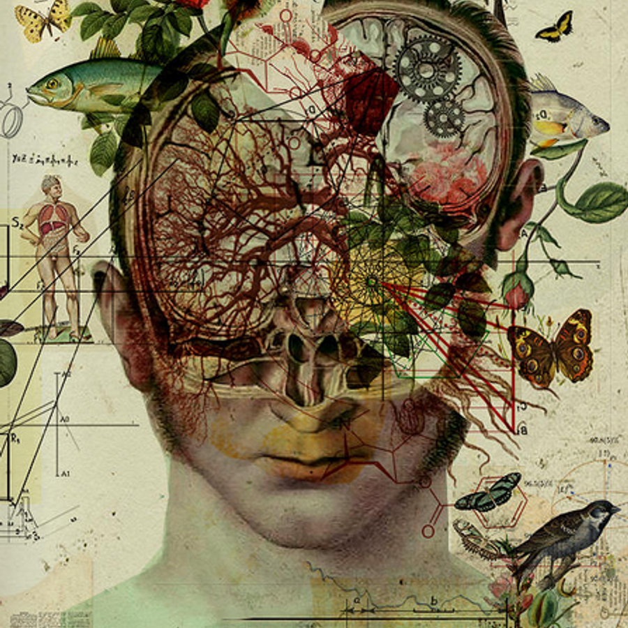 Жизнь мозга читать. Мозг живопись. Образы в голове. Мозг картина. Картина голова.