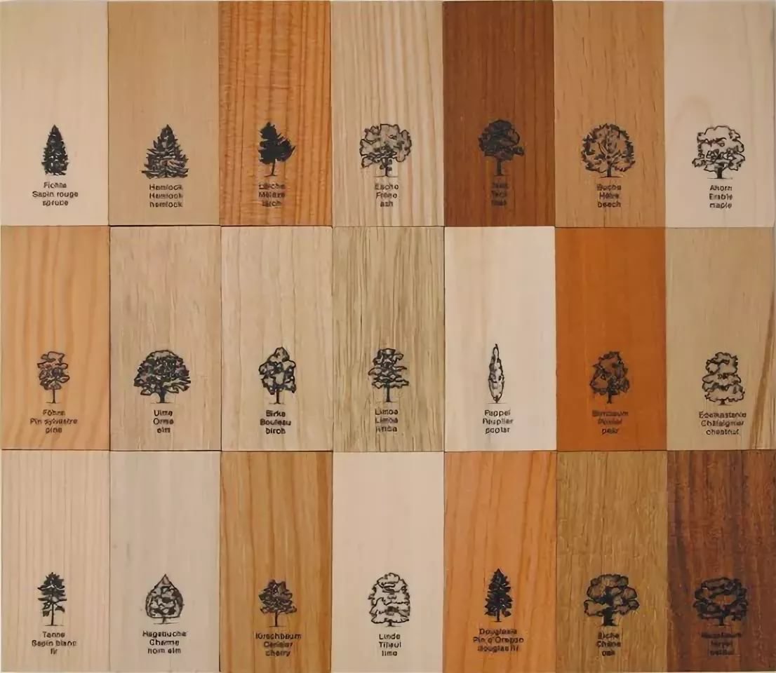 Различные породы древесины