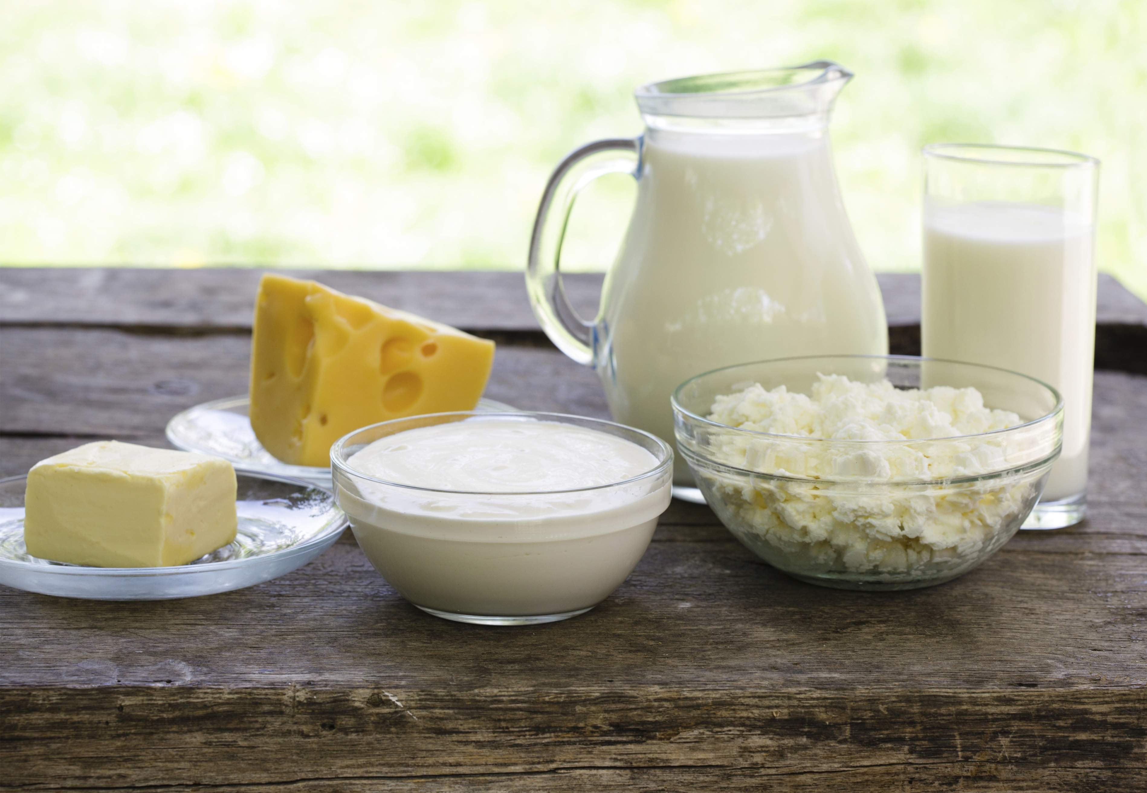 Масло сметана сливки. Молочные продукты. Молочный продукт. Сыр творог сметана. Молоко кефир творог.