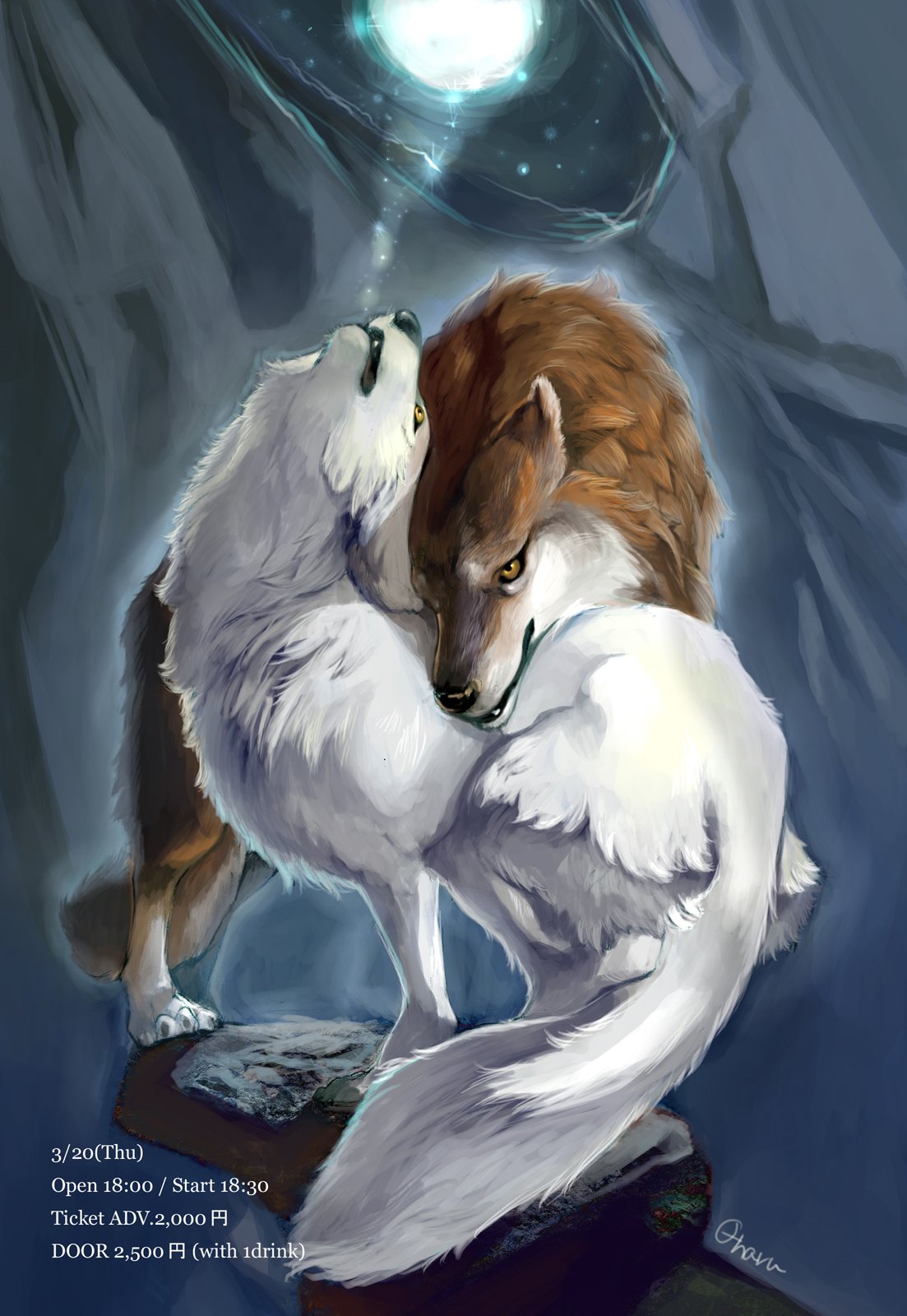 Какие отношения складываются между медведем и лисицей. Лис и волчица. Лиса обнимает волка. Любовь волка и лисы.