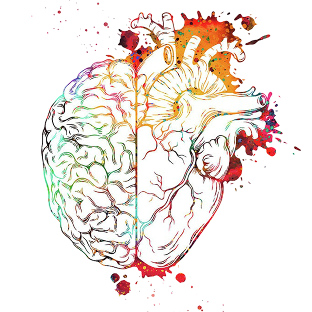 мозг и сердце арт