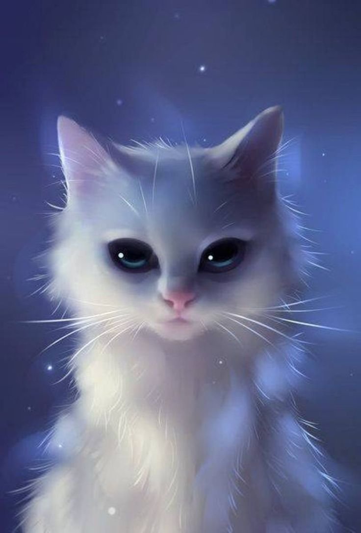 белый котенок аниме