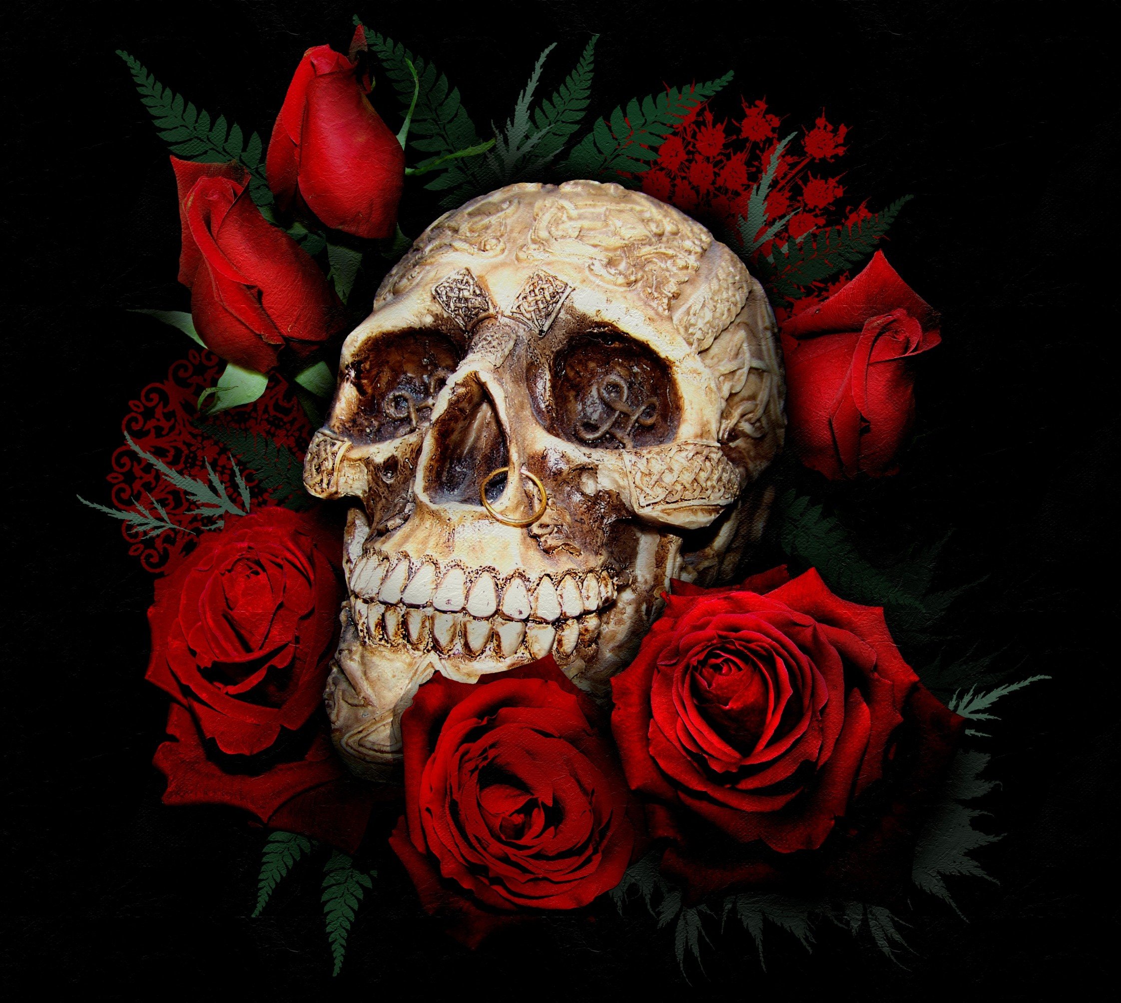 Череп с розами арт - 35 фото