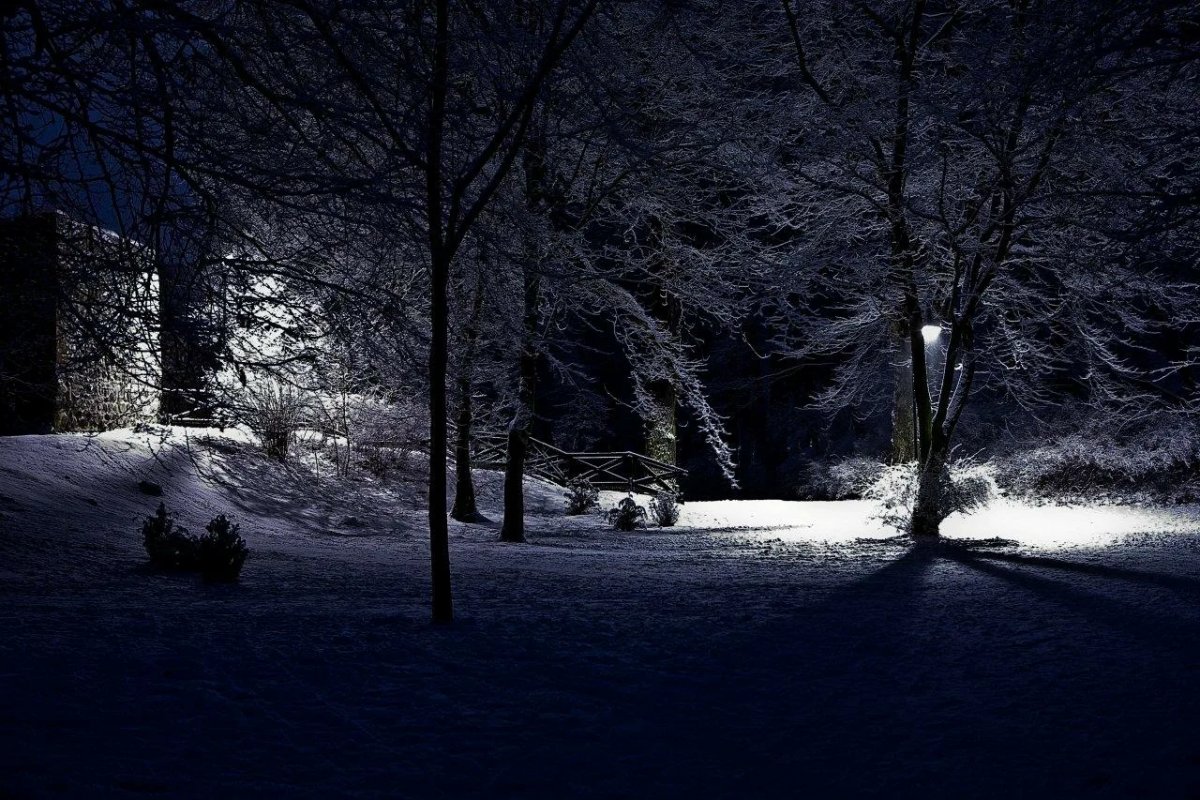 Картинки снега ночь. Зима ночь. Зимний лес ночью. Зимний пейзаж ночью. Снег ночью.