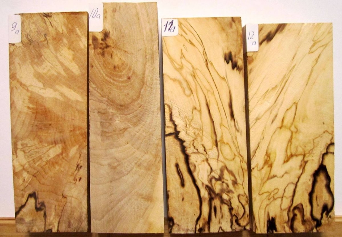 Текстура древесины разных пород