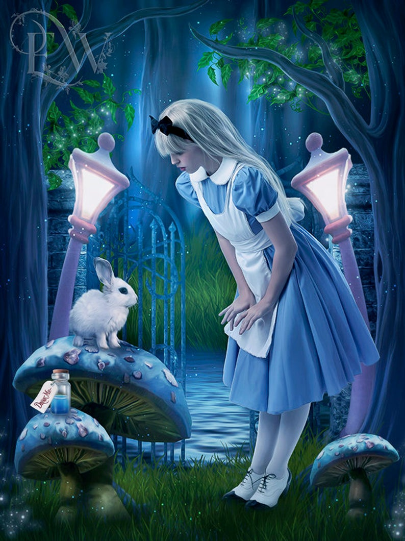 Сказку про алису в зазеркалье. Алиса Вандерленд. Алиса Вандерленд арт. Алиса в стране чудес сказка. Алиса чудес.