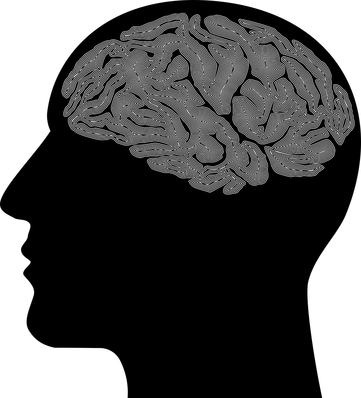 Et brain. Мозг силуэт. Мозги картинка. Мозг рисунок.